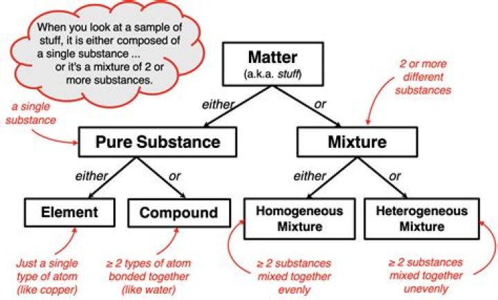 Pure-Types vs. Dual-Types | Bulbagarden