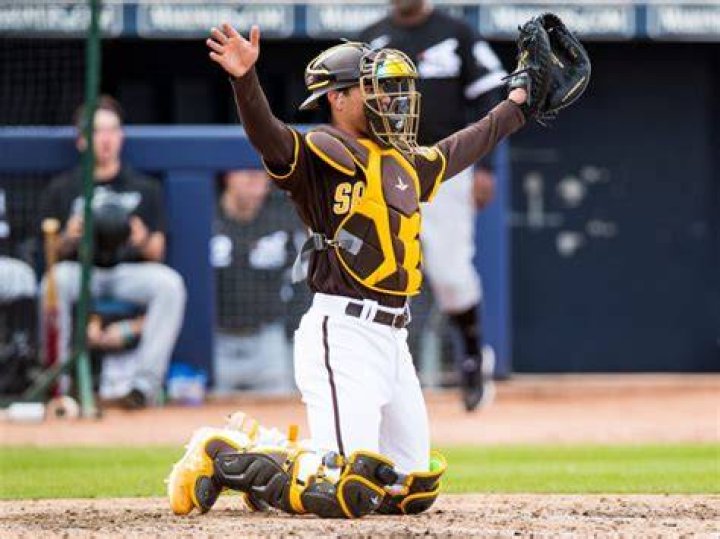Reese McGuire Stats & Scouting Report — College Baseball, MLB Draft, Prospects
