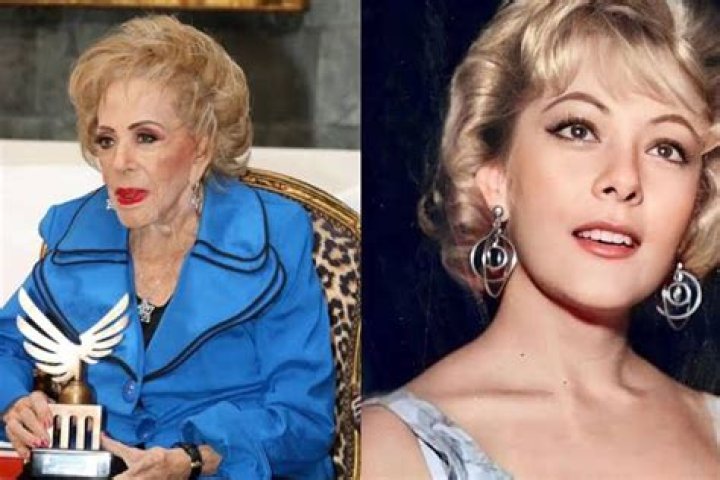 Silvia Pinal Fan Casting