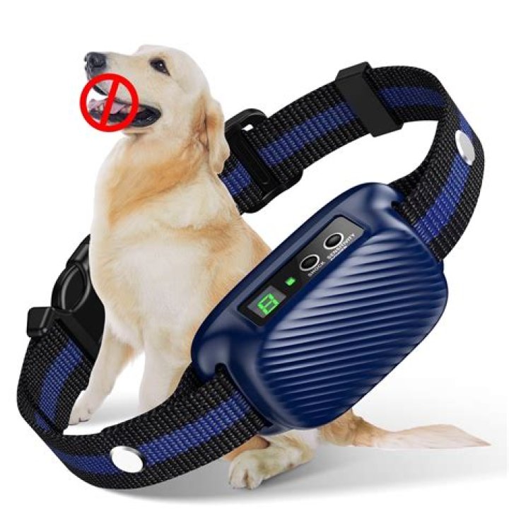 Small Dog Bark Collar Rechargeable