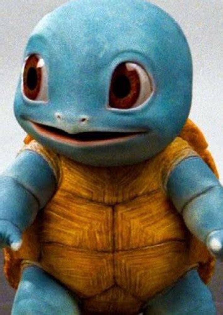 Squirtle Fan Casting