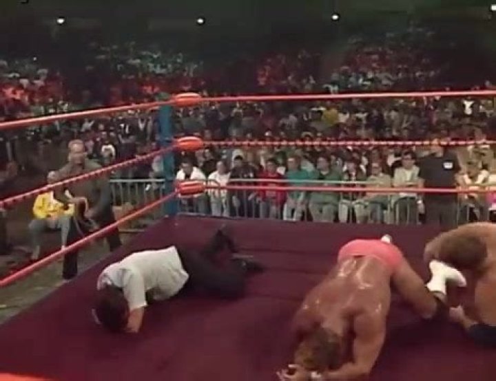 Stan Hansen vs. Lex Luger in WCW