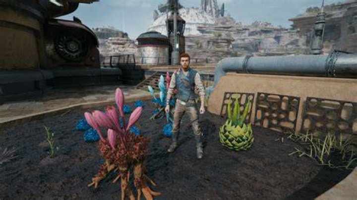 Star Wars Jedi: Survivor Seeds