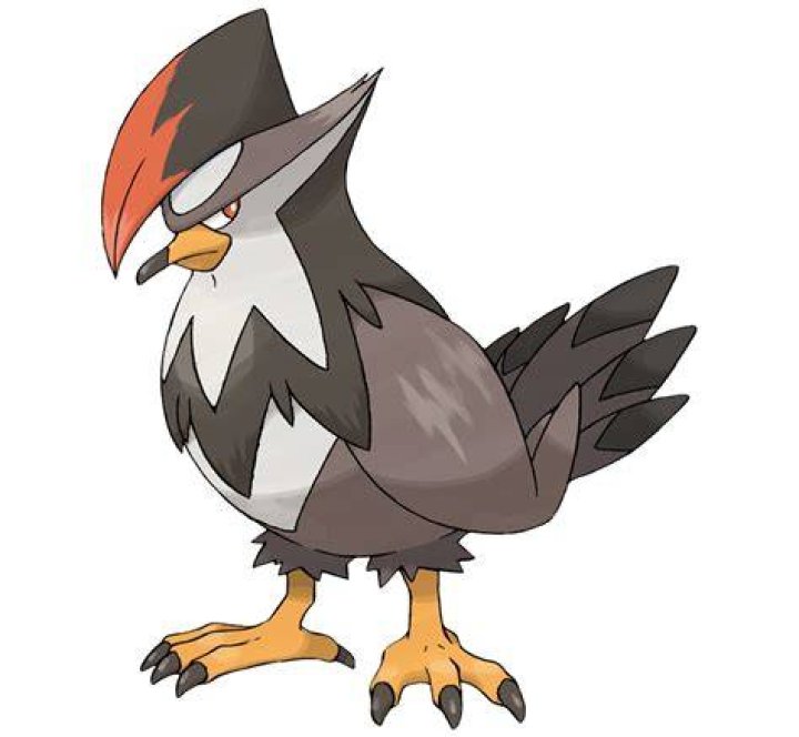Staraptor Pokemon