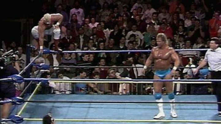 Sting vs Lex Luger at Superbrawl II.