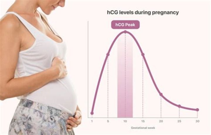 Studies have shown hCG, the hormone responsible for the second line appearing on a home pregnancy test, is higher for female fetuses compared with males. Photo / Getty