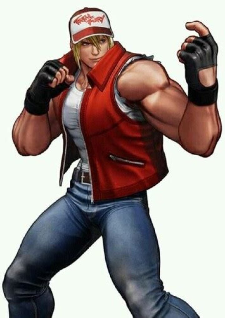 Terry Bogard Fan Casting