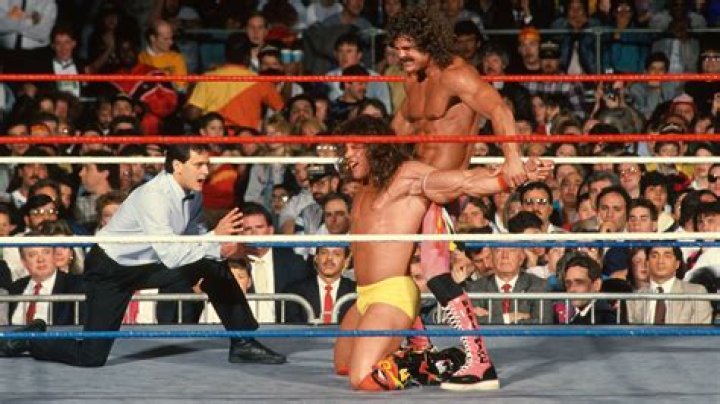 The Ultimate Warrior v Rick Rude SummerSlam 1990 Cropped