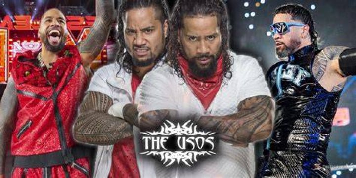 The Usos in the ring 