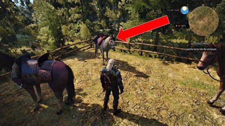 The Witcher 3: Spooked Mare
