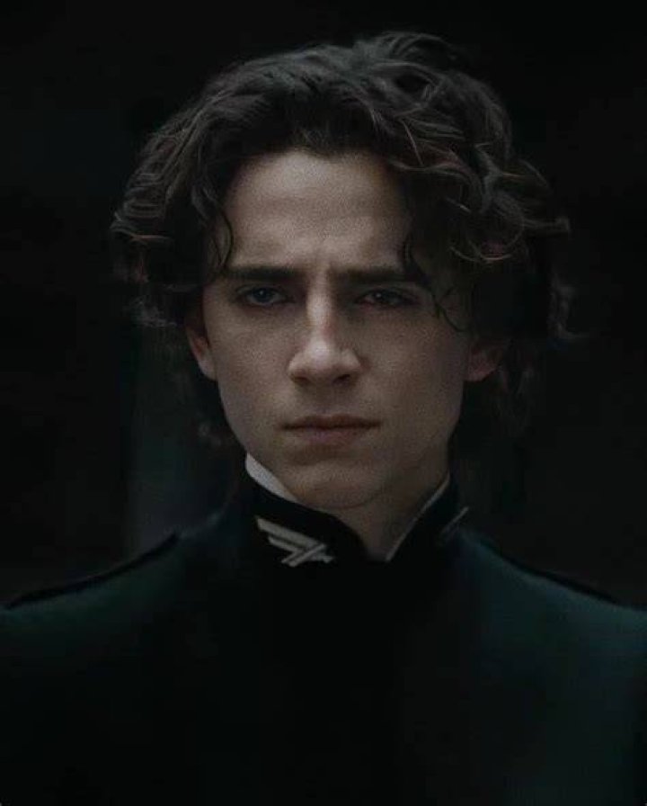 Timoth&eacute;e Chalamet as Regulus Black in Marauders