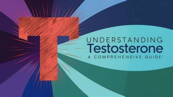 Understanding Wattesigma: A Comprehensive Guide