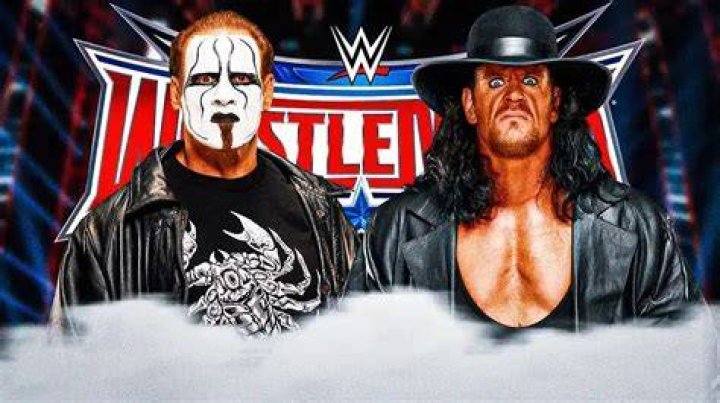 Undertaker and Sting together 