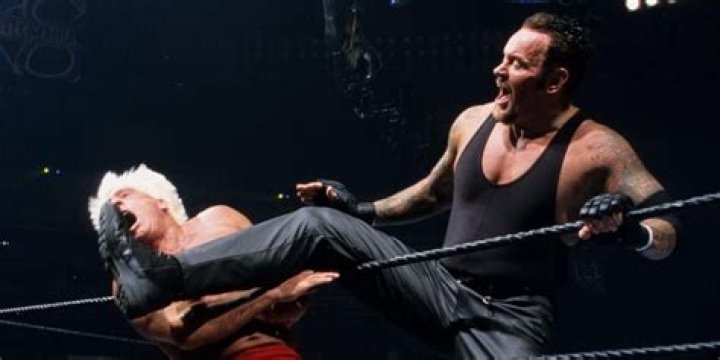 Undertaker v Flair