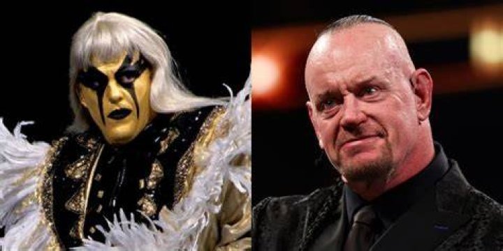 Undertaker Vs Goldust