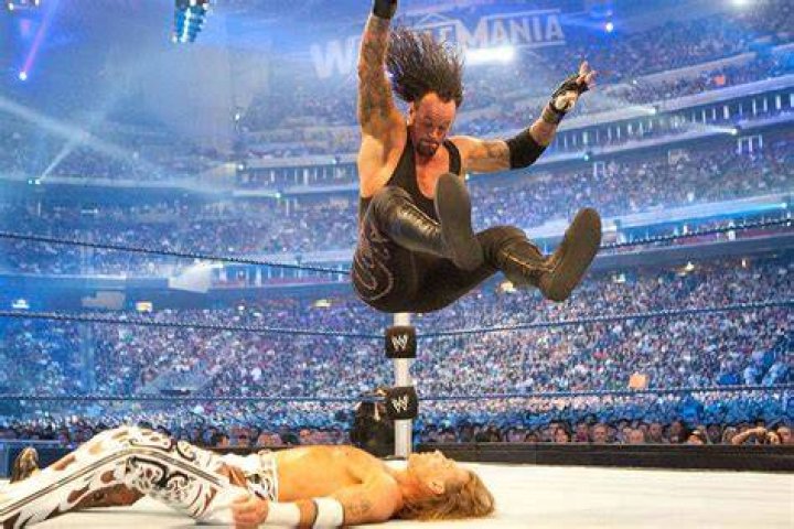Undertaker vs Shawn Michaels at WrestleMania