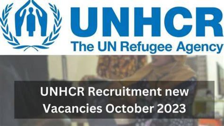 UNHCR Recruitment Portal 2023/2024 Job Application Form 3 Unhcr Recruitment Portal