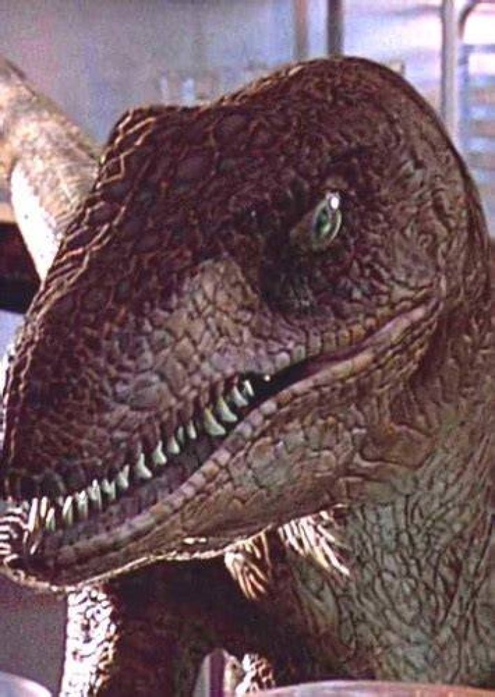 Velociraptor Fan Casting