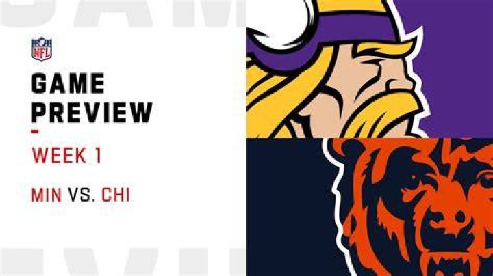 Vikings V. Bears 2011