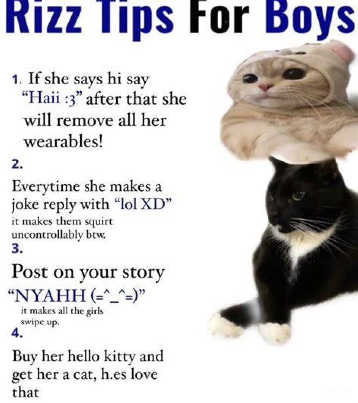 w rizz tips Silly cats, Silly, Funny me