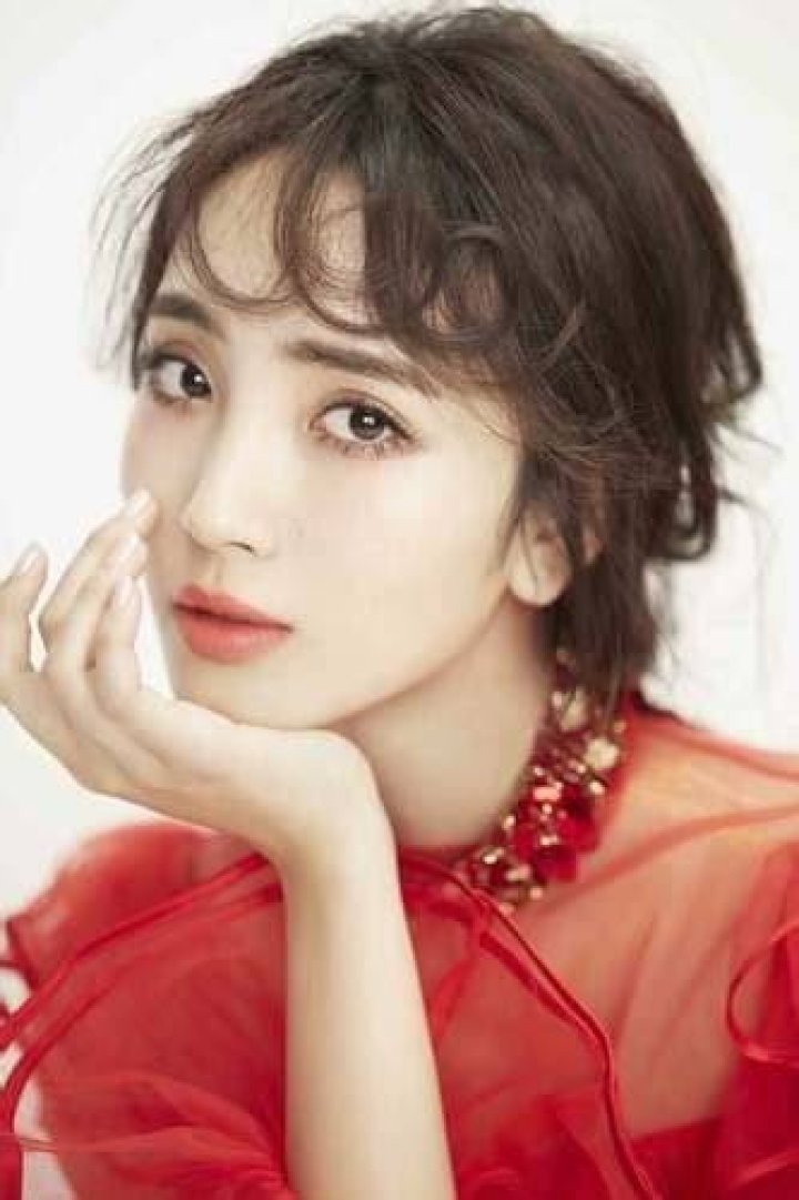 Wang Zixuan Fan Casting