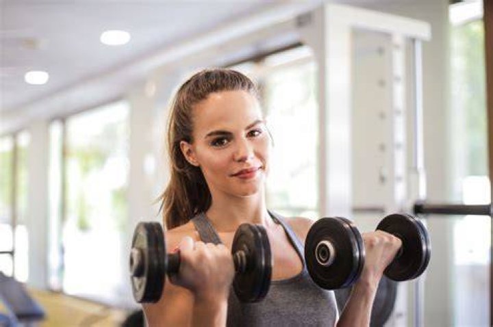 weights, exercise equipment, arm, shoulder, chest, bench, leg, abdomen, gym, muscle,