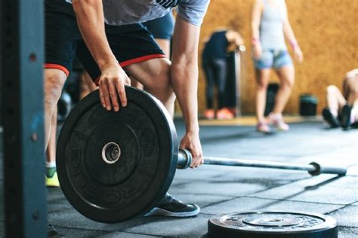 Weights, Gym, Physical fitness, Weight training, Exercise equipment, Room, Dumbbell, Sport venue, Exercise, Strength training, 