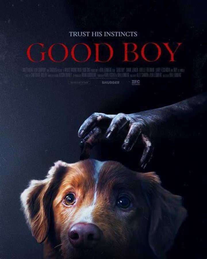 Who’s a Good Boy? : Release Date, Cast, Plot, Trailer, And Other Important Details That You Must Know!