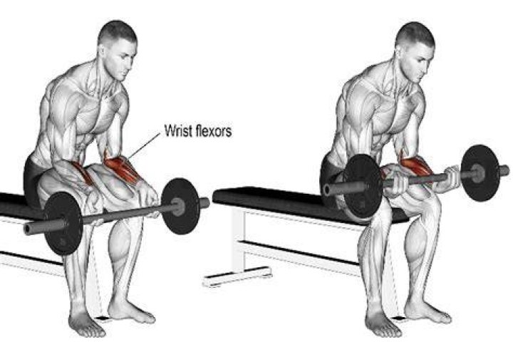 wrist curls
