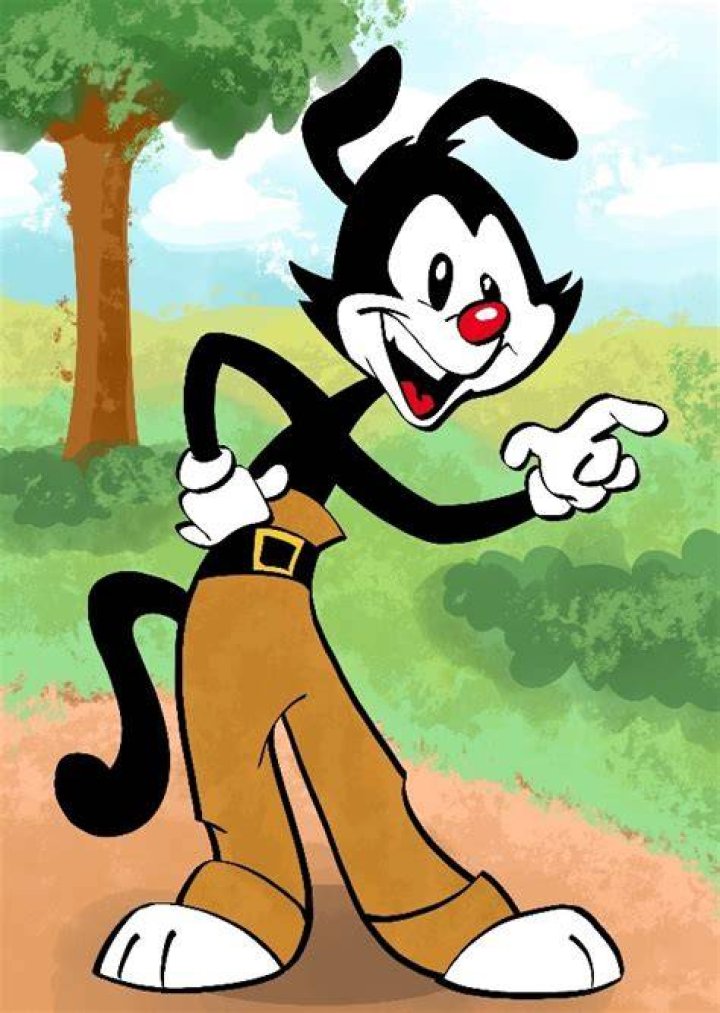 Yakko Warner Fan Casting