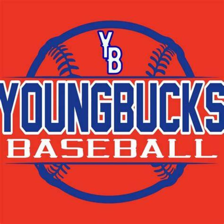 young-bucks