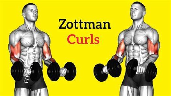 zottman curls